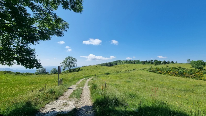 Ontdek de Camí de la Retirada: wandelen door geschiedenis en natuur