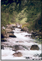 Alpen