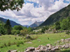 Aig&uuml;estortes