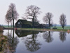 Hollands Landschap II