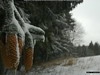 Snowy Hill II