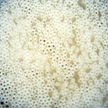 De MSR Hyperflow waterfilter maakt gebruik van Hollow Fibres (holle vezels).