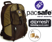 PacSafe DaySafe