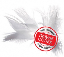 De DownCodex van Mountain Equipment