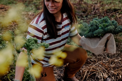 Carhartt introduceert dames T-shirt met TENCEL vezels