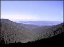 Uitzicht over de bossen van Poblet