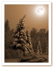 copyrights 2001 Yolanda Cebri�