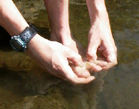 Wassen