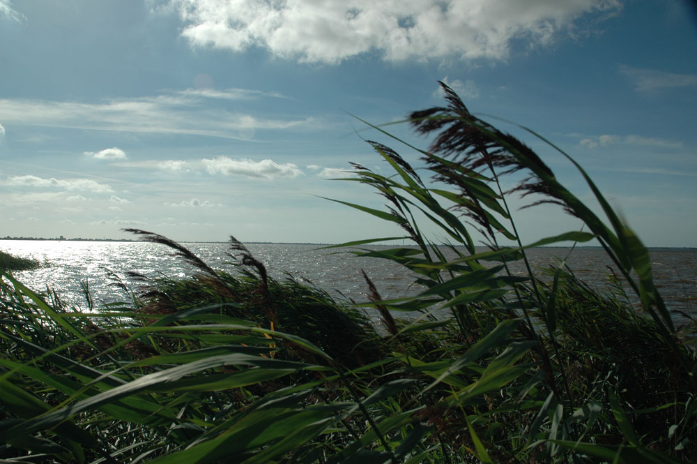 Een sportieve vakantie op de Waddeneilanden
