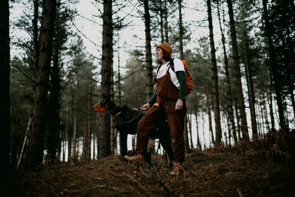 Wandelen met een hond