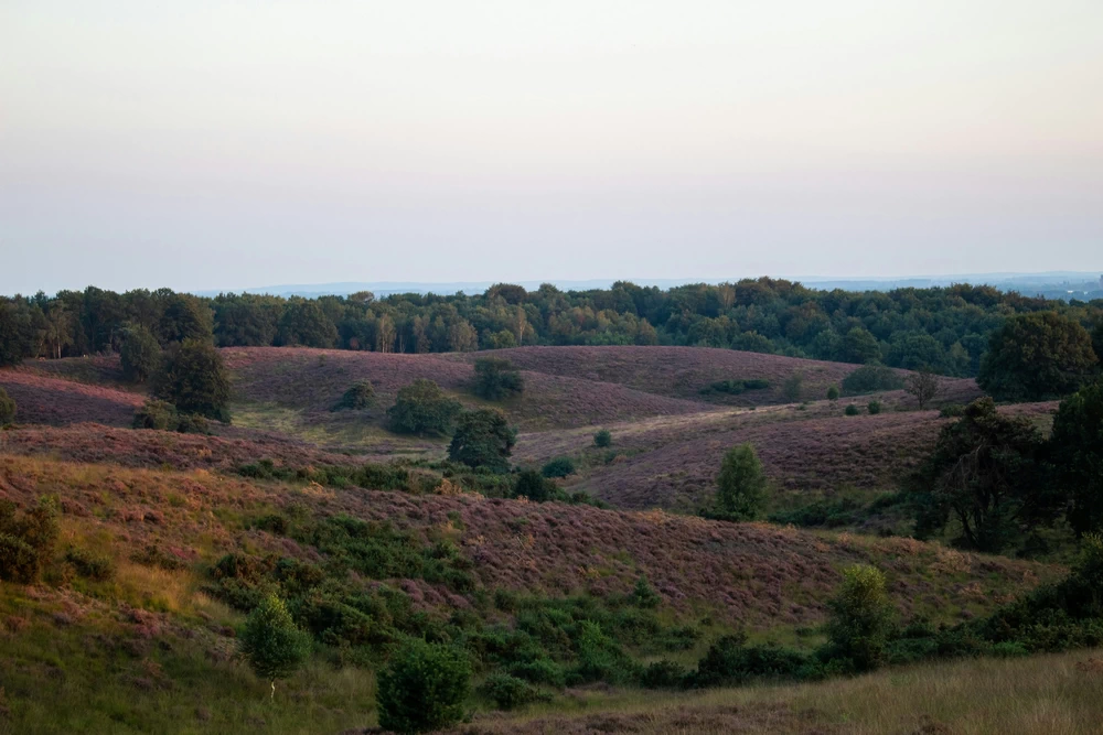 De mooiste wandelroutes op de Veluwe