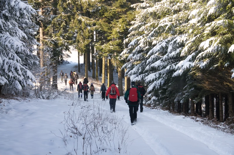 Winterhiken voor beginners: tips en advies