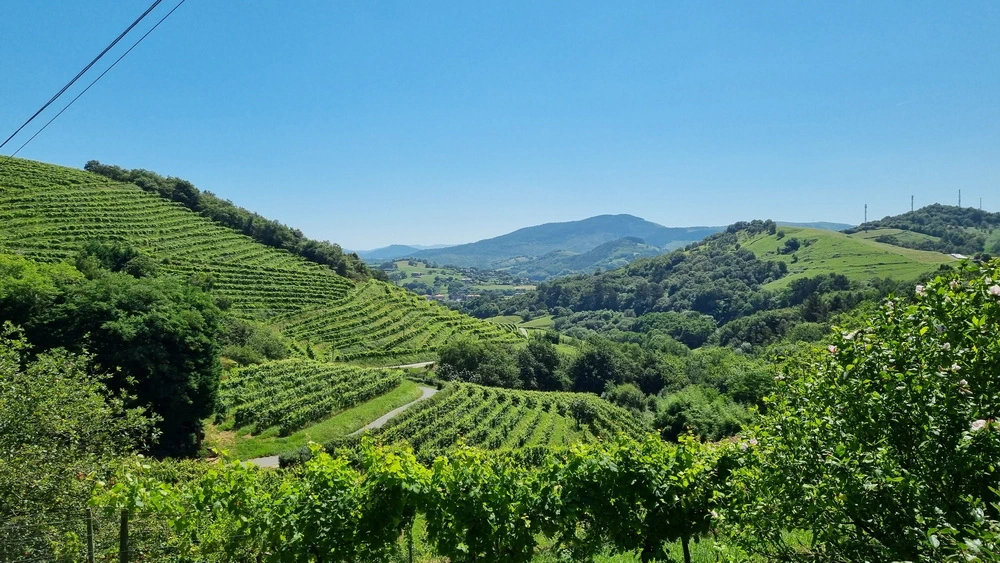 Camino del Norte (Irún-Bilbao)