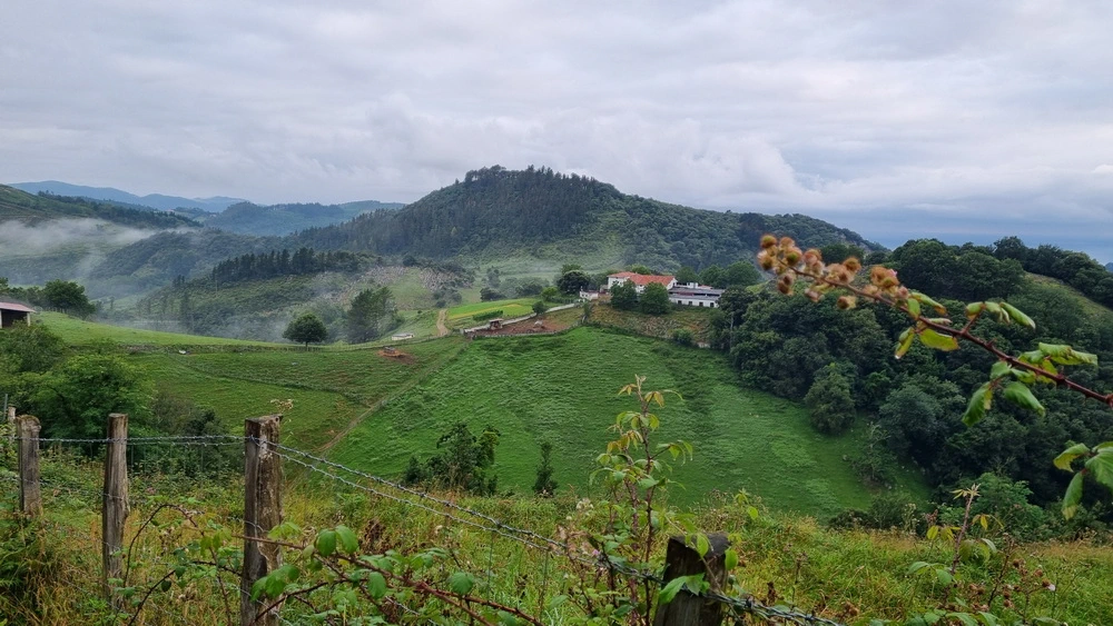 Camino del Norte (Irún-Bilbao)