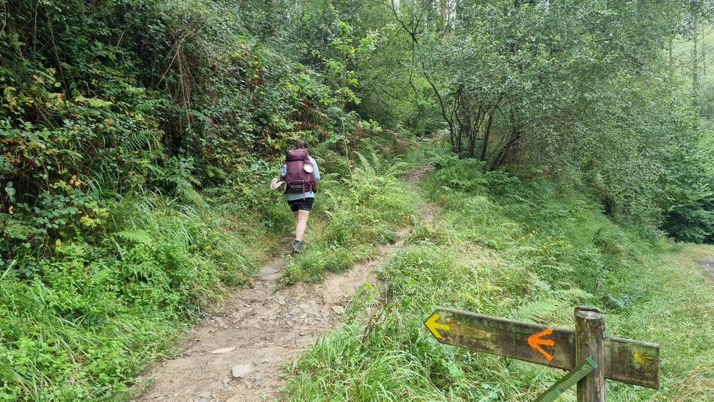 Camino del Norte (Irún-Bilbao)