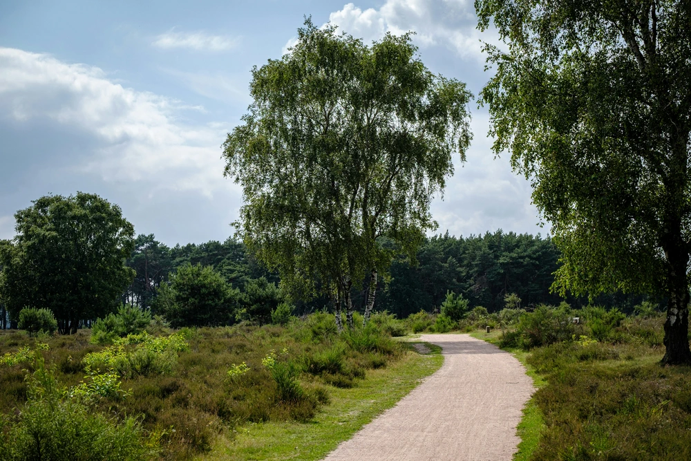 Van kust tot Veluwe: zo kies je een elektrische toerfiets voor Nederland